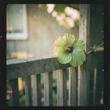 suno_audio_2026_08_09_18_29_42