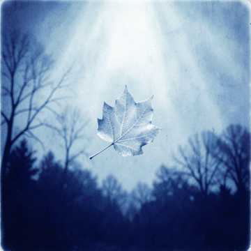 Дыхание осени