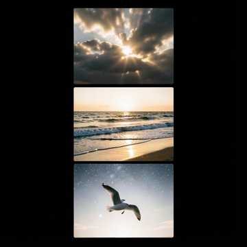 О заре, море, звёздах и любви