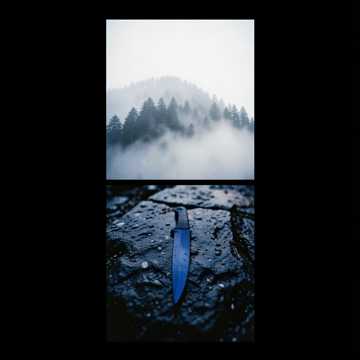 Ниндзя - воины тени