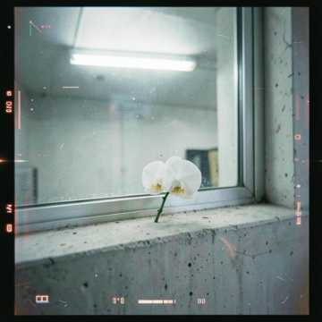 NOV