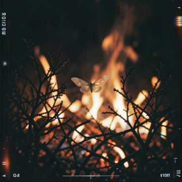 Солнце и Мотылёк (Version 1)