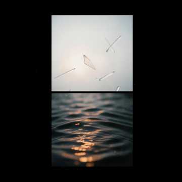 NYH_1