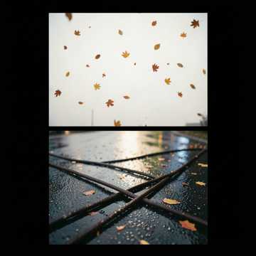 Autumn_refix