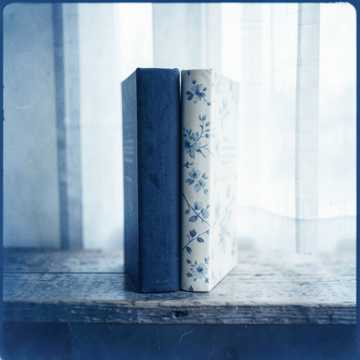 Две книги.- Rinka (Edit) (Edit)