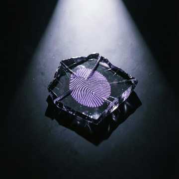 Black Ice.1