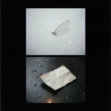 Paper Wings-2.0