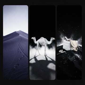 Пустыня жизни
