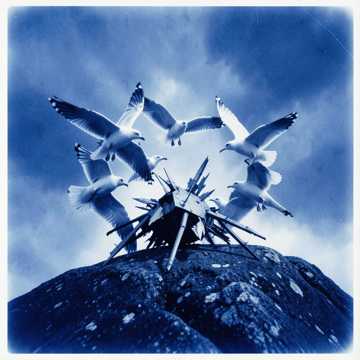 Бой в небе Севастополя (Edit)