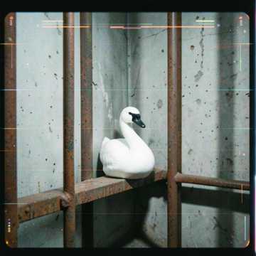 "Белый лебедь" на обочине (Edit)