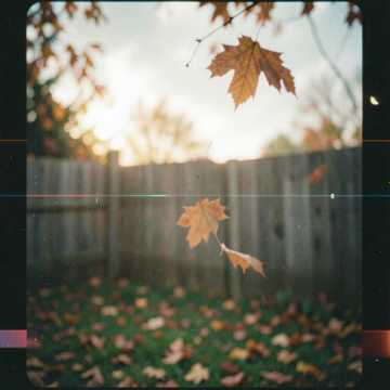 Джаник - Осень (+)