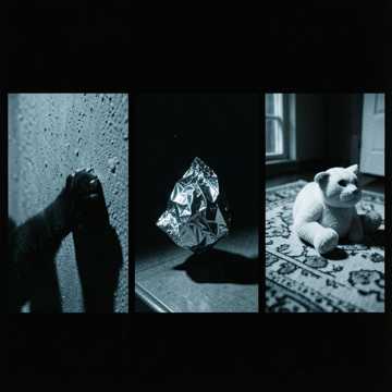 Кот Симба