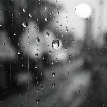 Every Single Day_32bit
