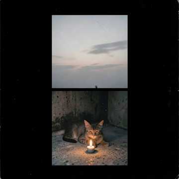 Кот в блиндаже