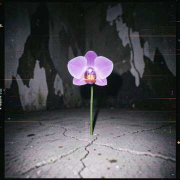 Война его теней(Edit) (Edit) (Edit) (Edit)