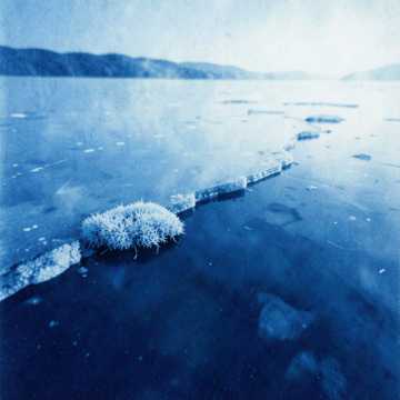 Der Lyngen Blomstrer