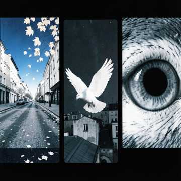 01.Голуби +-сл.Ольга Барабаш, муз.Виктор Муравьев (Edit)