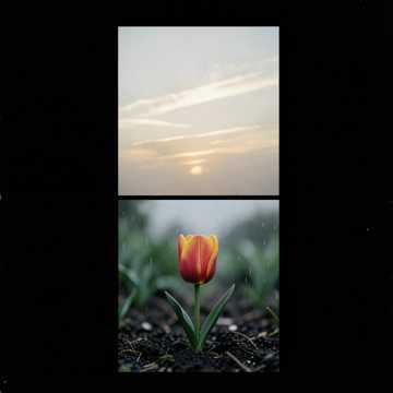 1 Можно