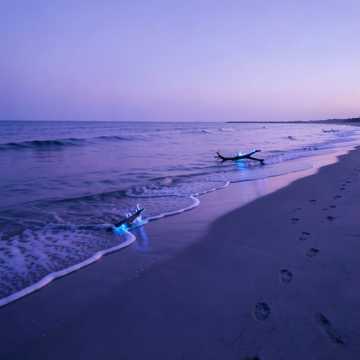 Sleeping in the sand_r&b