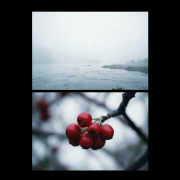 Скажи река (v15)