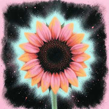 Sunflower#1