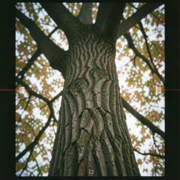Обнимаю я тебя в тишине.Ver.2- Rinka