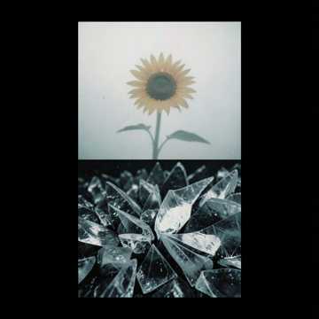 Sunflower_remod#1