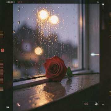 You love