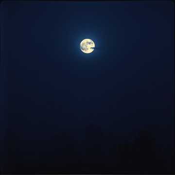 Ognjen, Sinisa - Insomnia