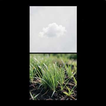 Green Spring.